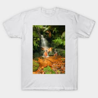 In The Valley of Orange & Green T-Shirt